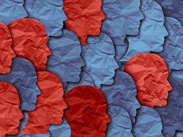 community spread graphic with different colored paper faces